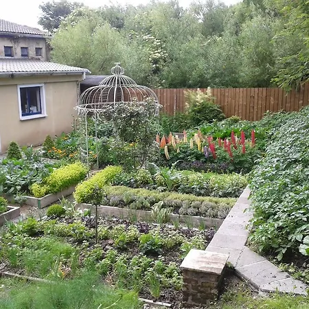 Danny Minnies Country House